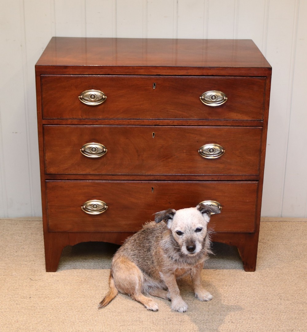 Georgian Mahogany Chest Of Drawers View V
