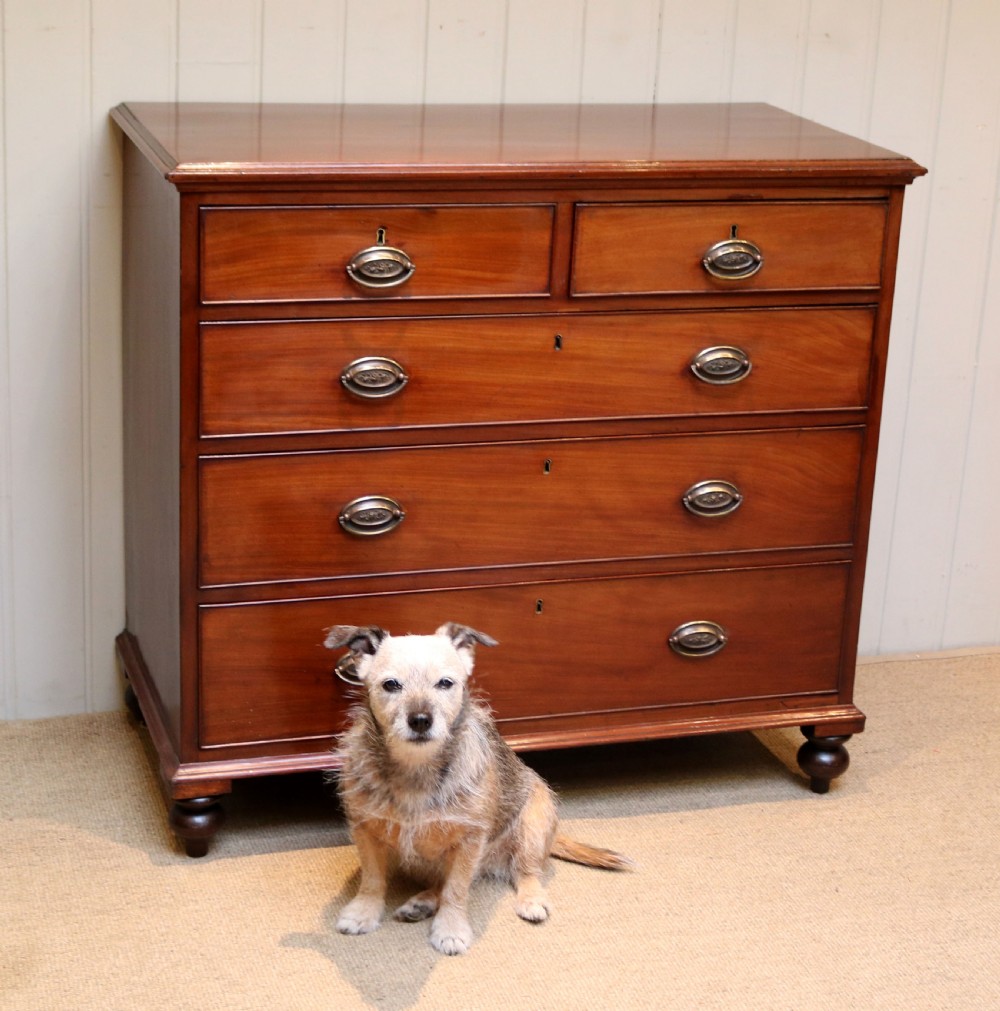 Mid 19th Century Mahogany Chest Of Drawers View VIII
