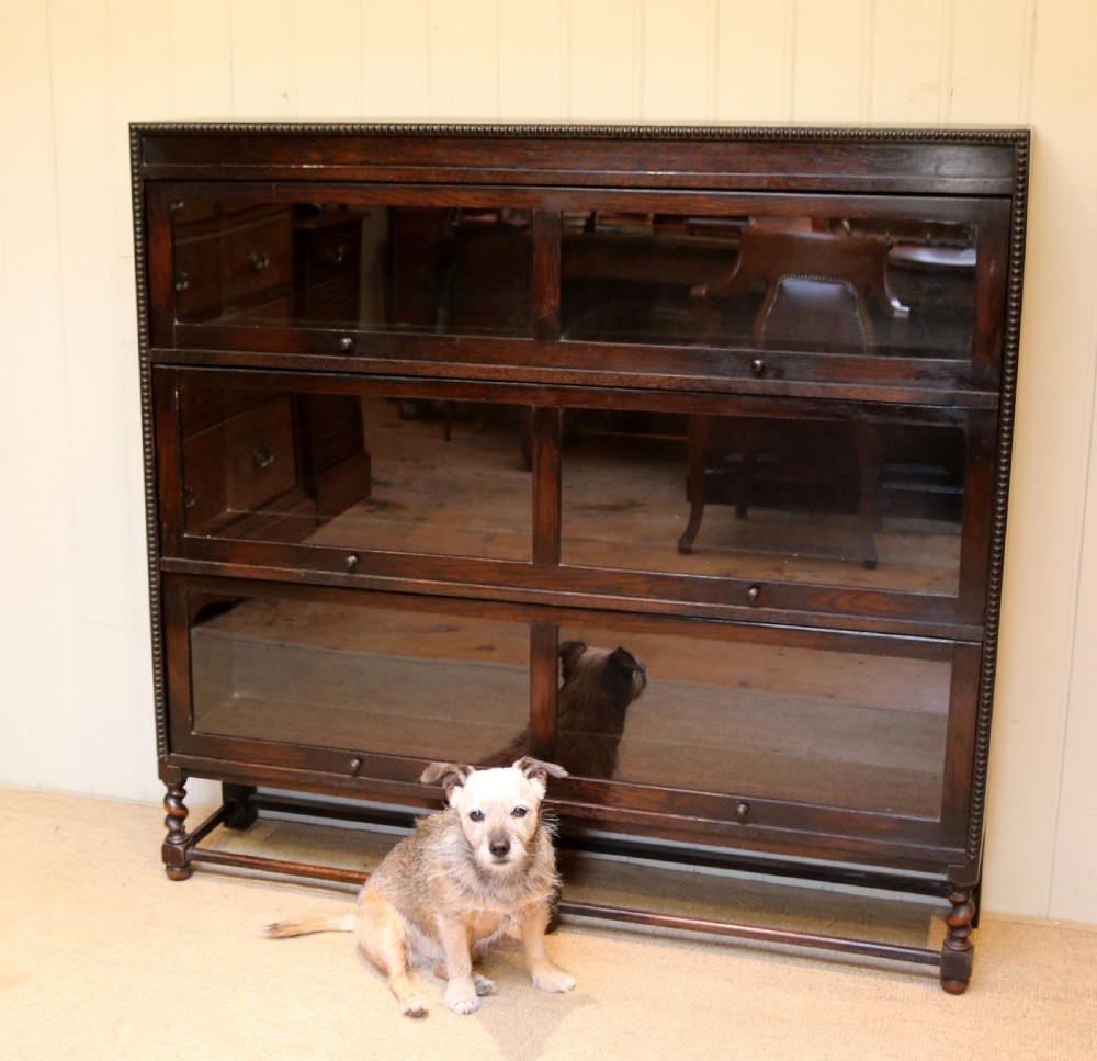 Dark Oak Globe Wernicke Style Bookcase View VI