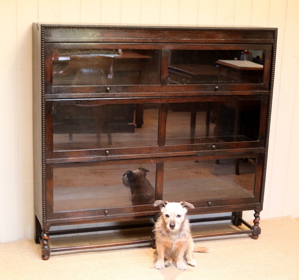 Dark Oak Globe Wernicke Style Bookcase View VII
