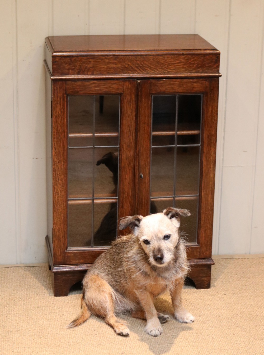 Small Oak Glazed Bookcase View VIII