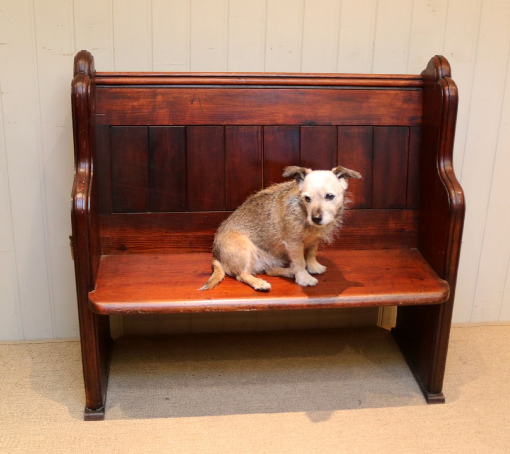 Pitch Pine Church Pew View IV