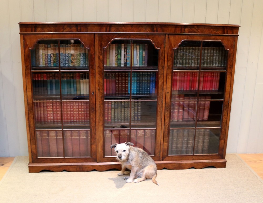 Substantial Walnut Bookcase View VII