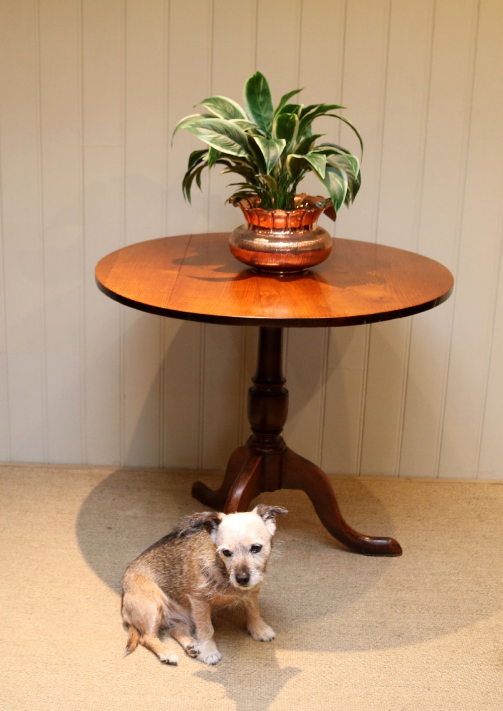 Georgian Oak Tilt Top Table View VII