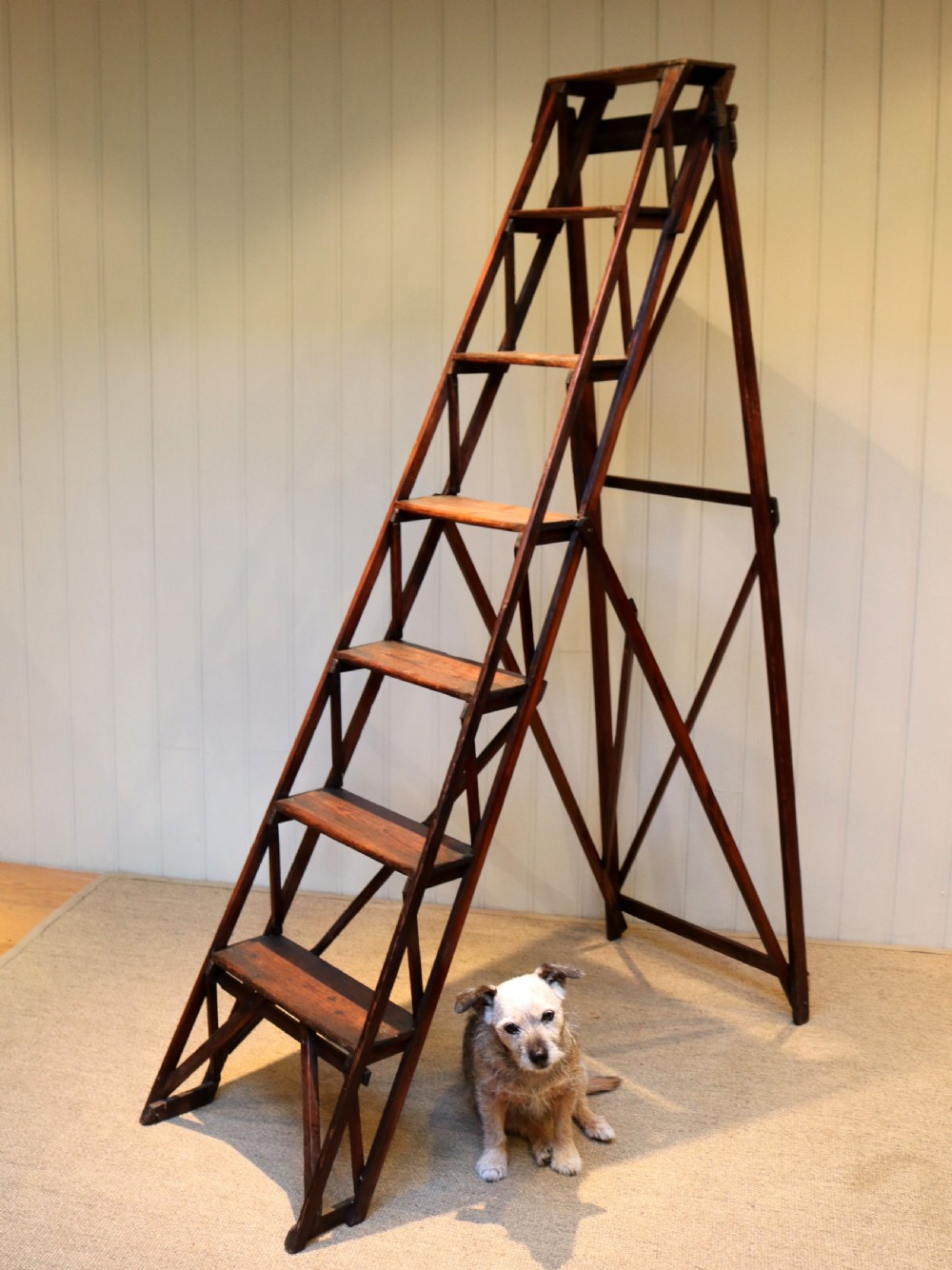 Late 19th Century Lattislap Step Ladder View VI