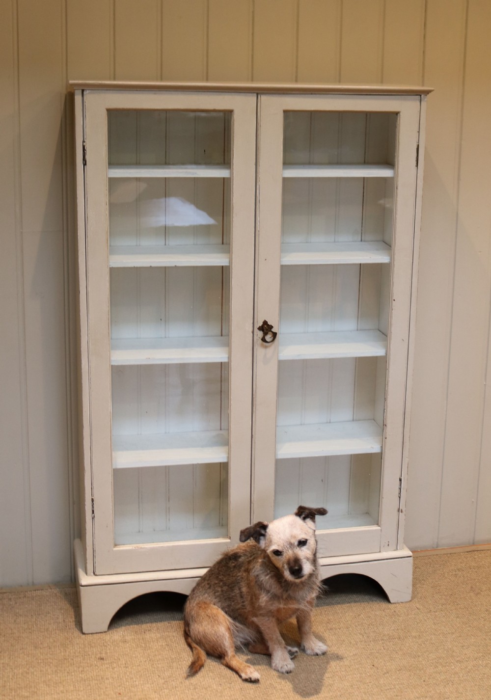 Painted Two Door Glazed Bookcase View VI