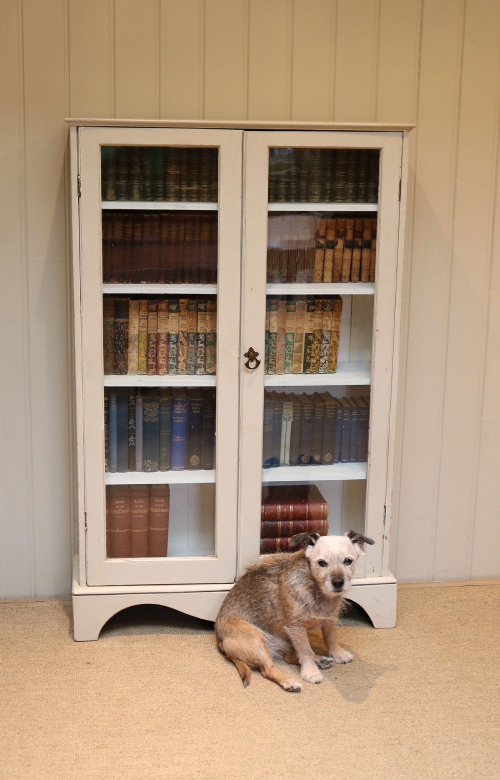Painted Two Door Glazed Bookcase View VIII