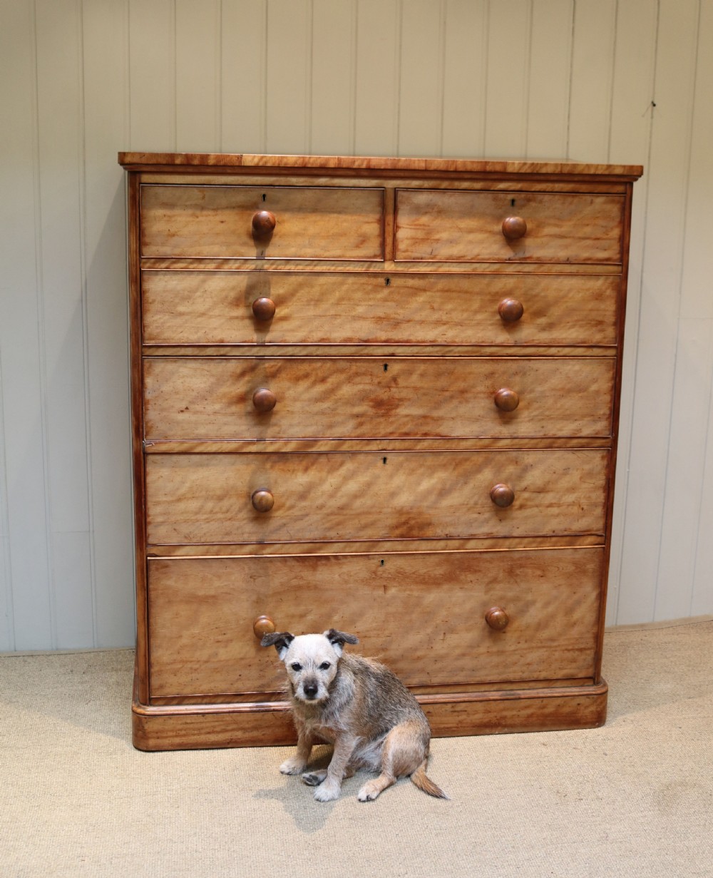 Substantial Satinwood Dressing Chest Of Drawers View VII