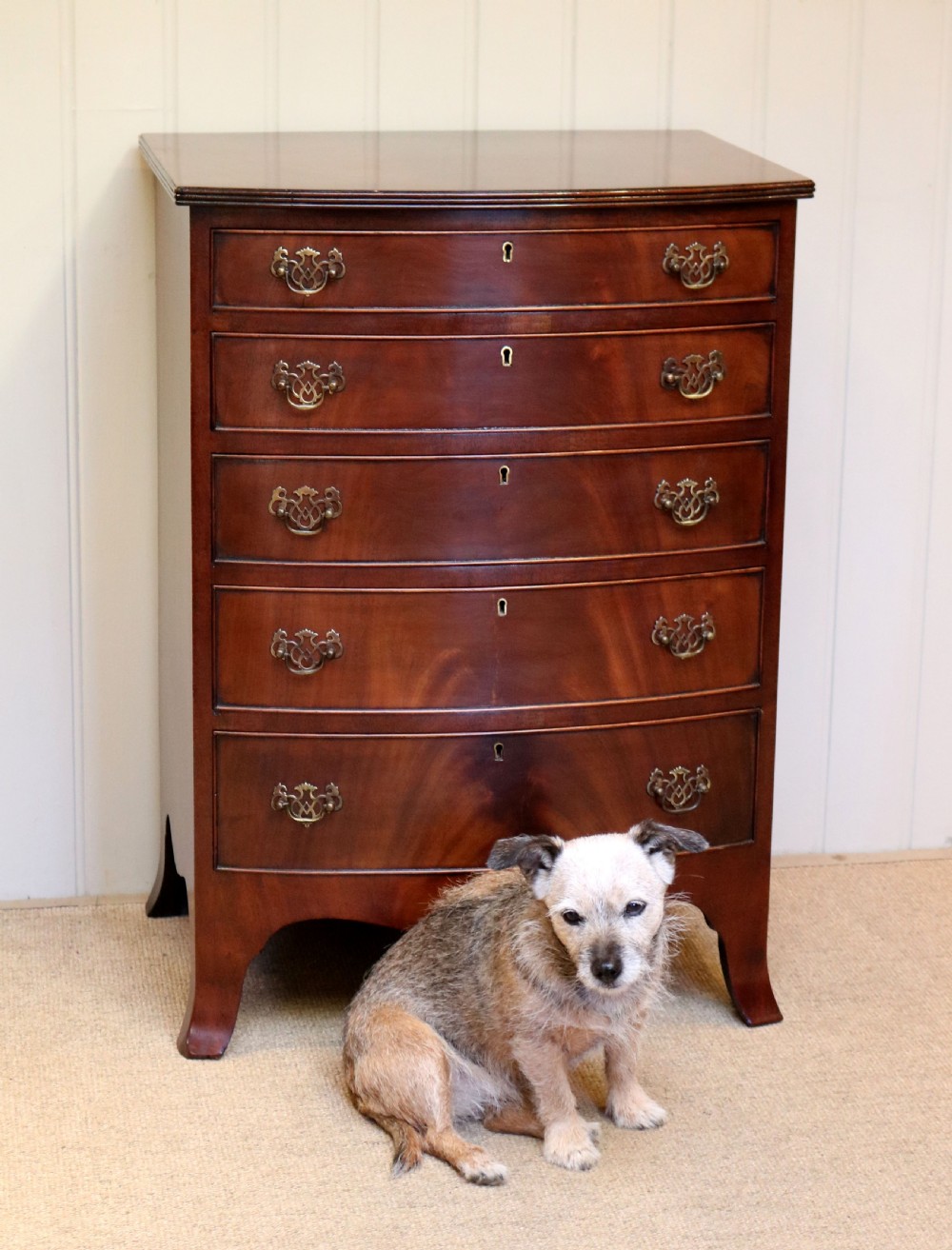 Mahogany Bow Front Chest Of Drawers View V