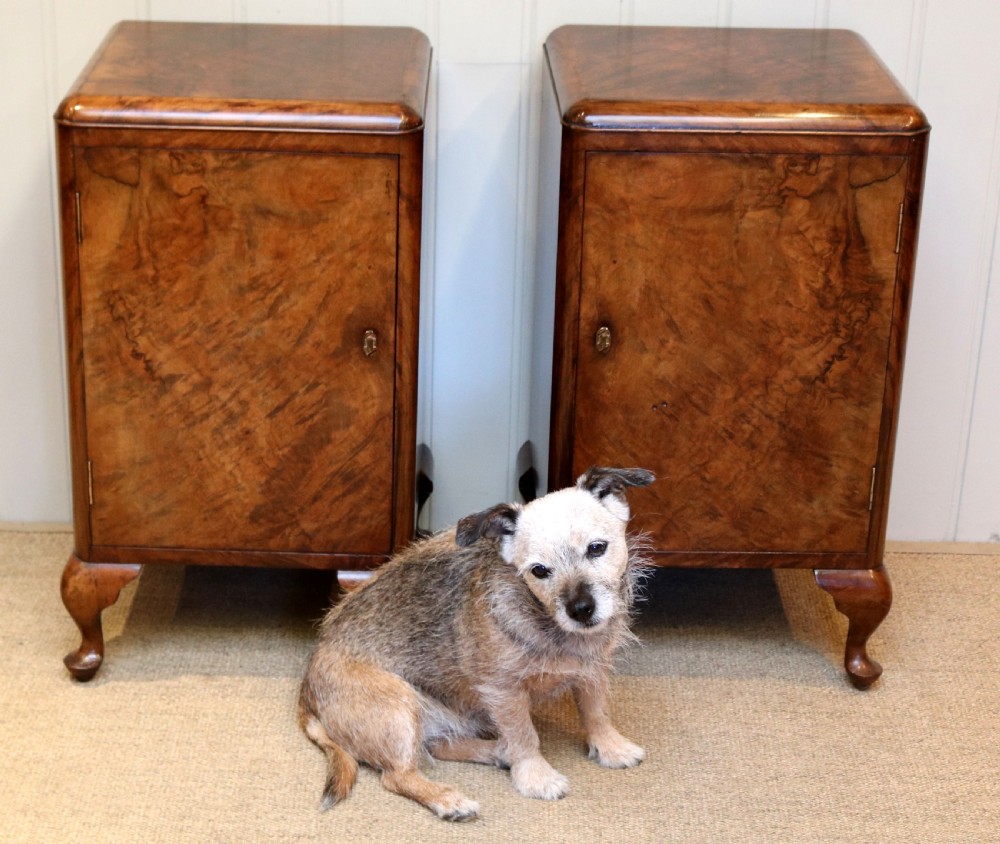 Pair Of Walnut Bedside Cabinets View VII