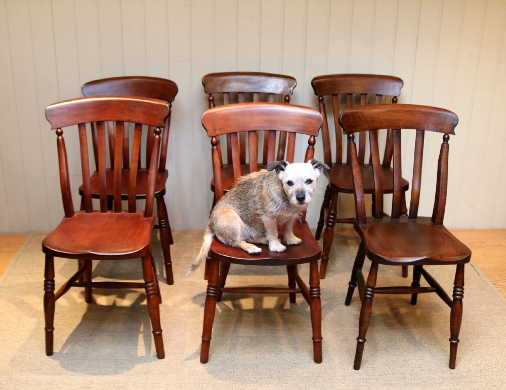 Set Of Six Matched Beech Kitchen Chairs View VII