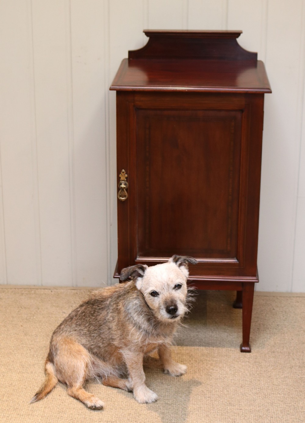 Edwardian Mahogany Bedside Cabinet View VI