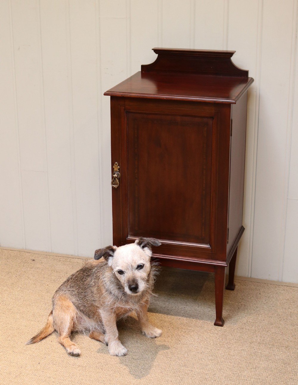 Edwardian Mahogany Bedside Cabinet View VIII