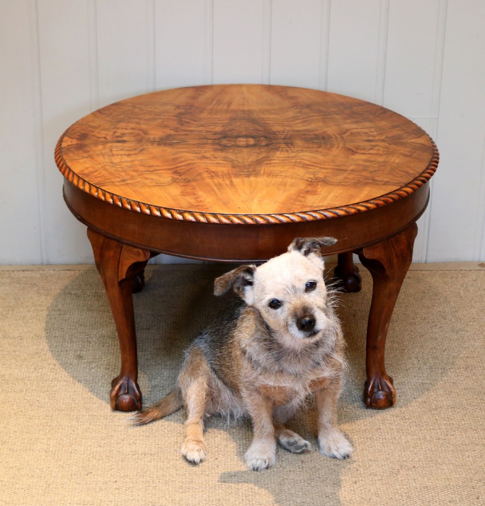 Circular Walnut Table View VII