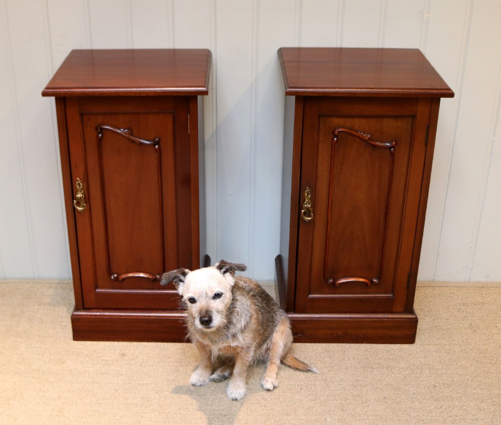 Pair Of Edwardian Mahogany Bedside Cabinets View V