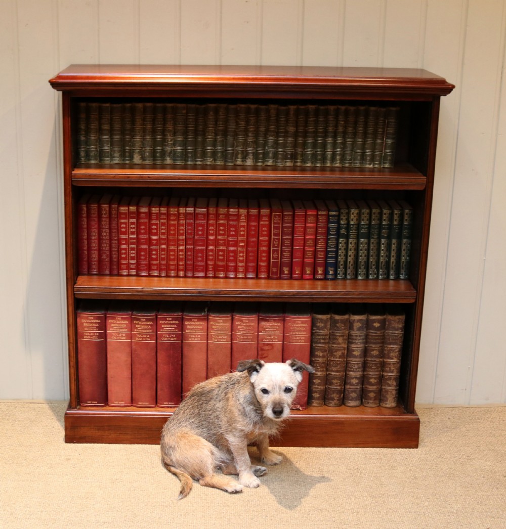 Late 19th Century Walnut Open Bookcase View V