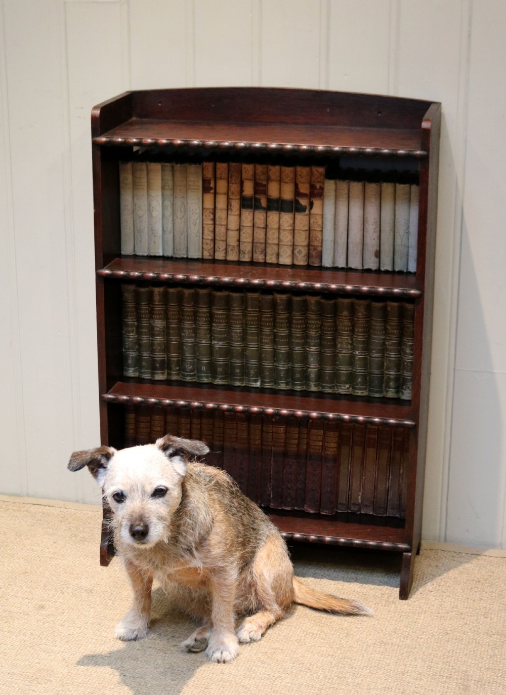 Small Open Oak Book Shelves View VII