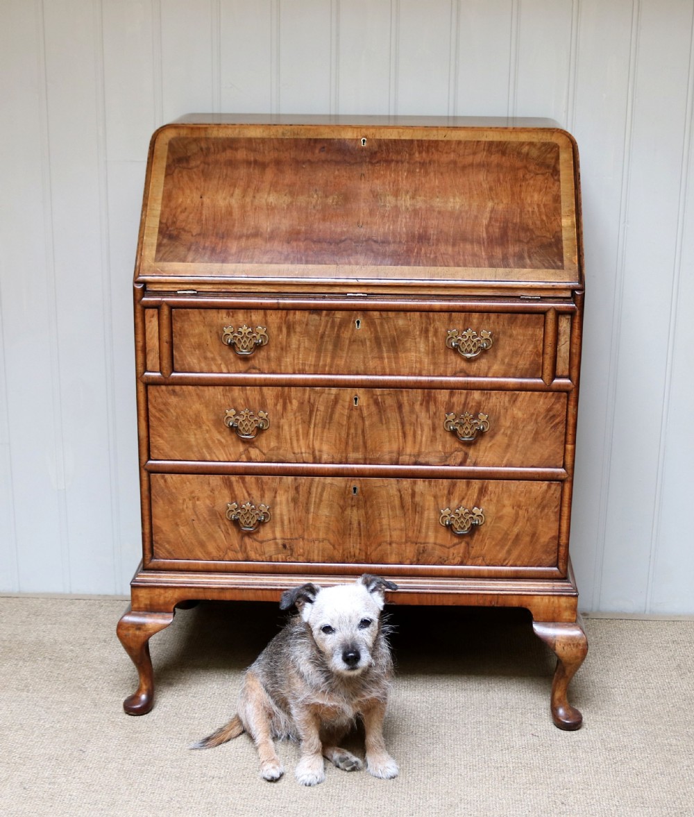 Walnut Bureau View III