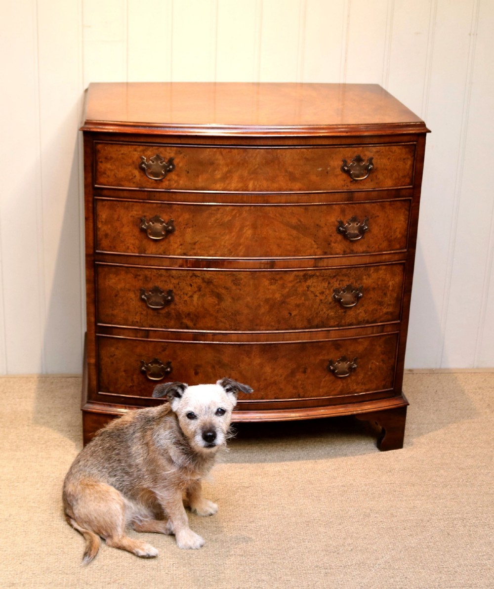 Walnut Bow Front Chest Of Drawers View IV