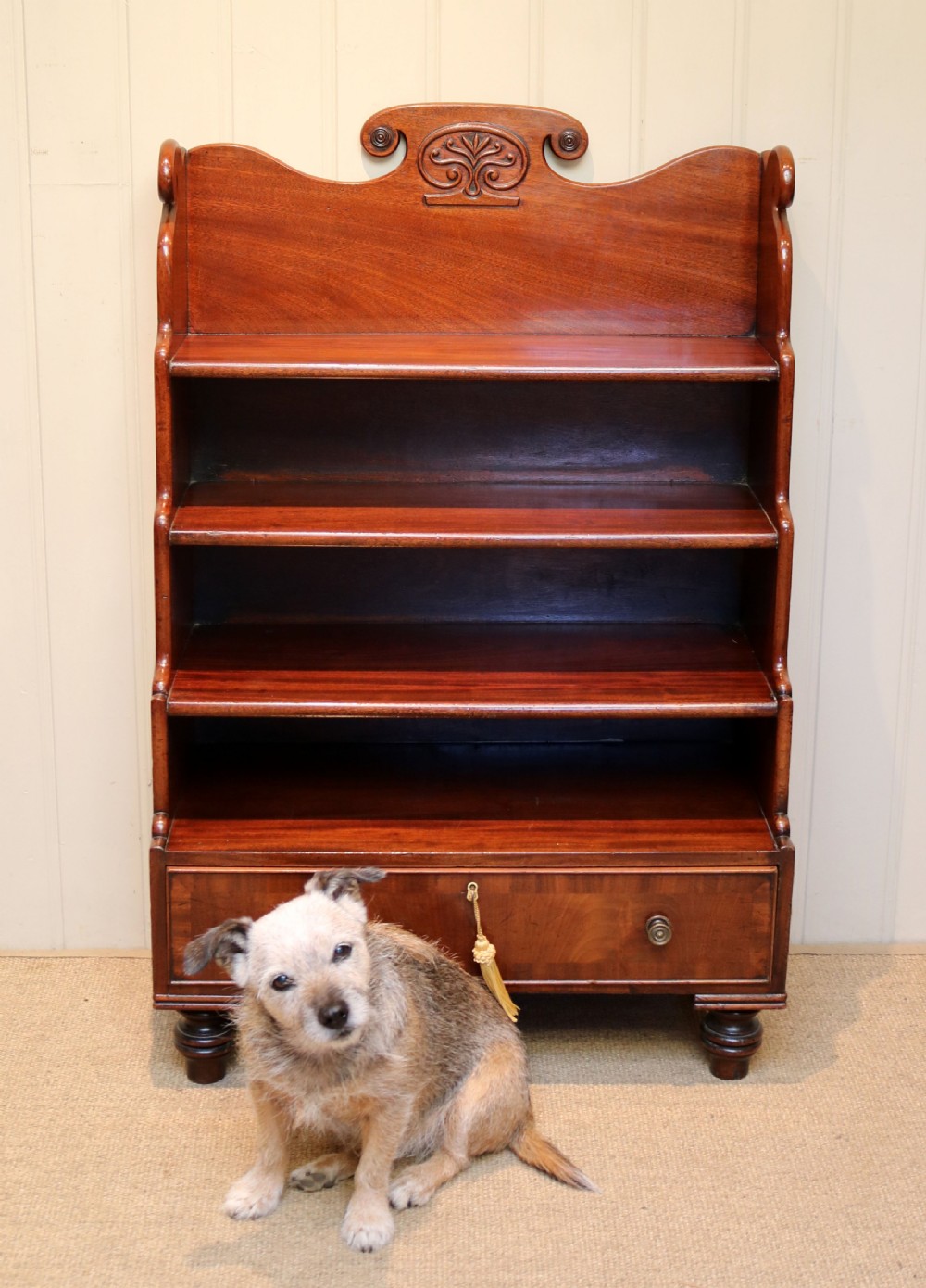 William IV Mahogany Waterfall Bookcase View V