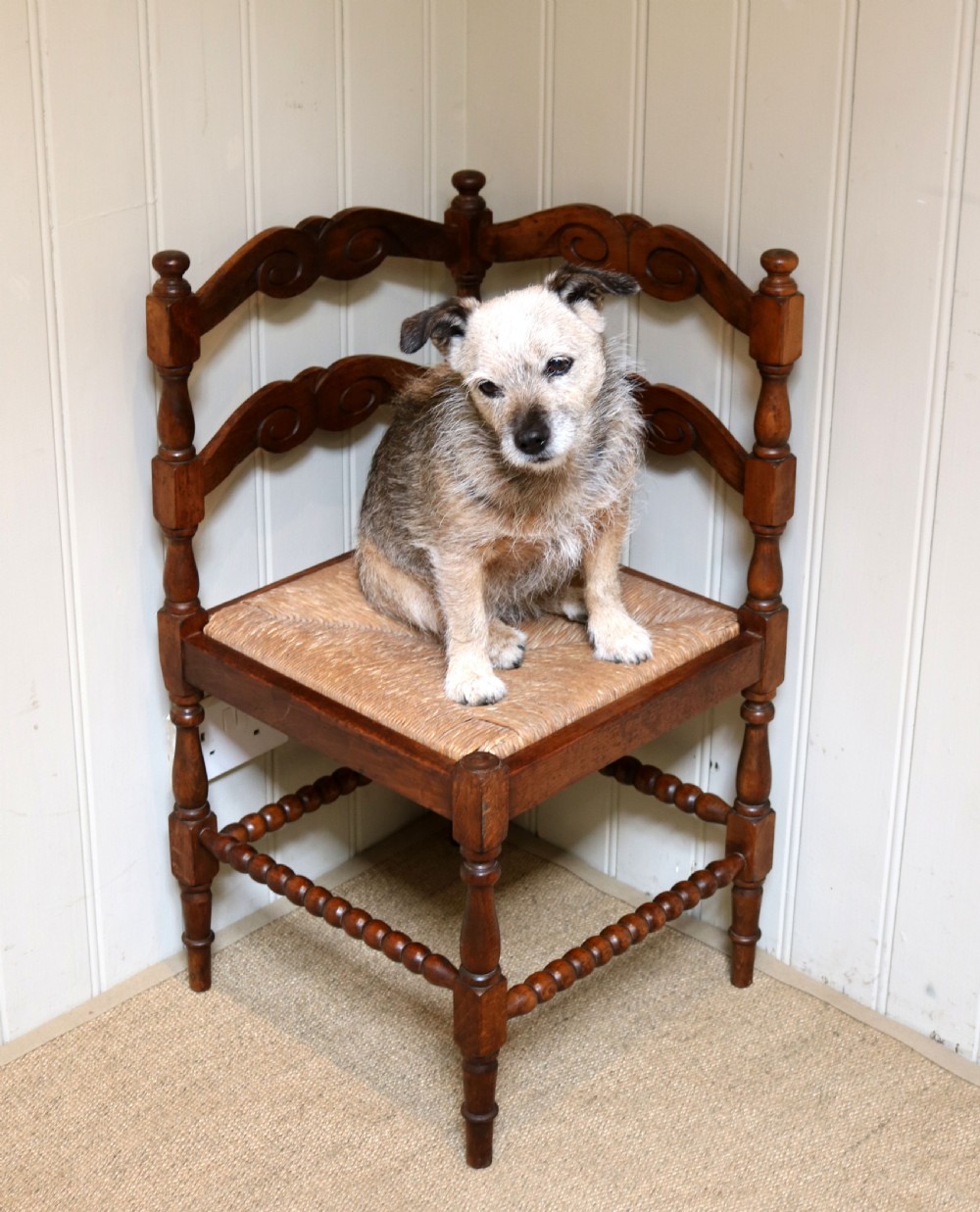 French Beech Corner Chair View VIII