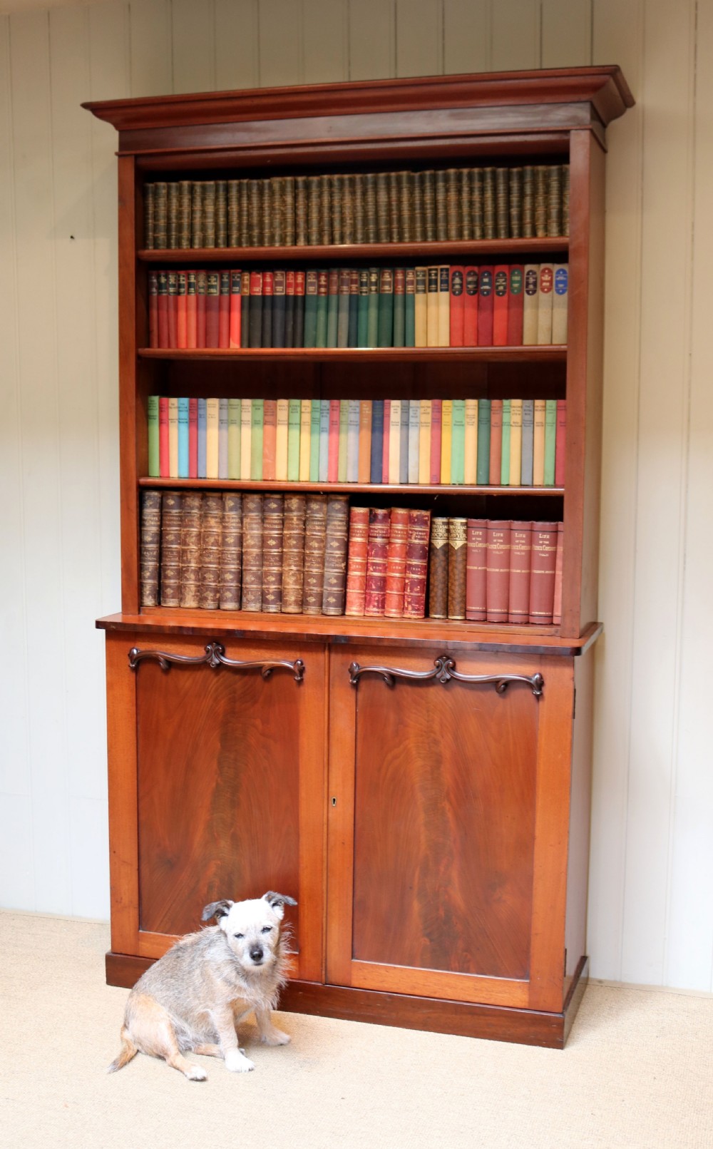 Substantial Victorian Mahogany Cabinet Bookcase View V