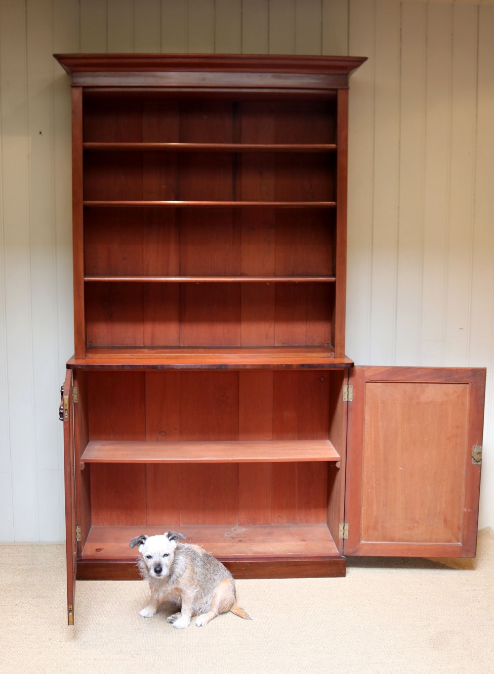 Substantial Victorian Mahogany Cabinet Bookcase View VII