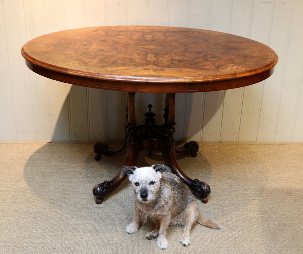 Mid Victorian Burr Walnut Breakfast Table View III