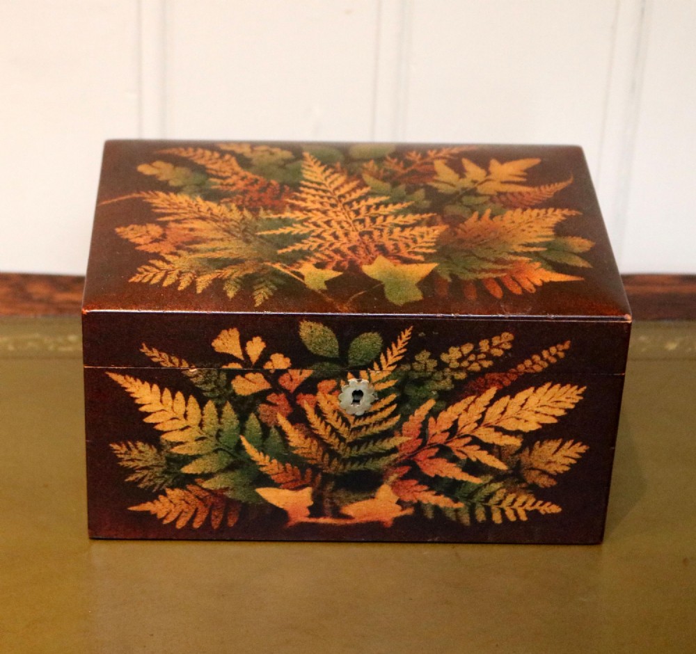 Mauchline Fernware Box
