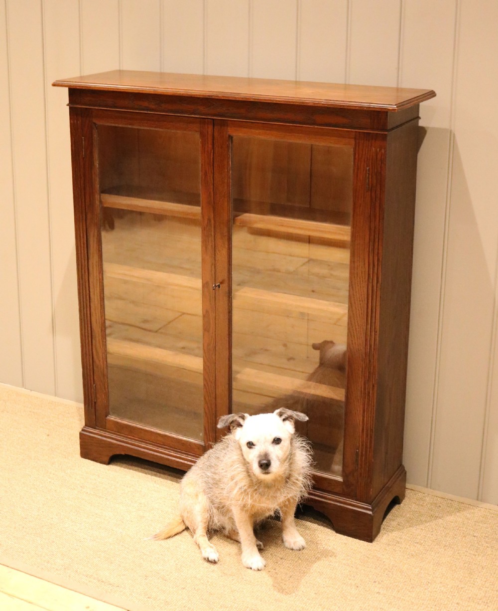 Edwardian Oak Glazed Bookcase View X