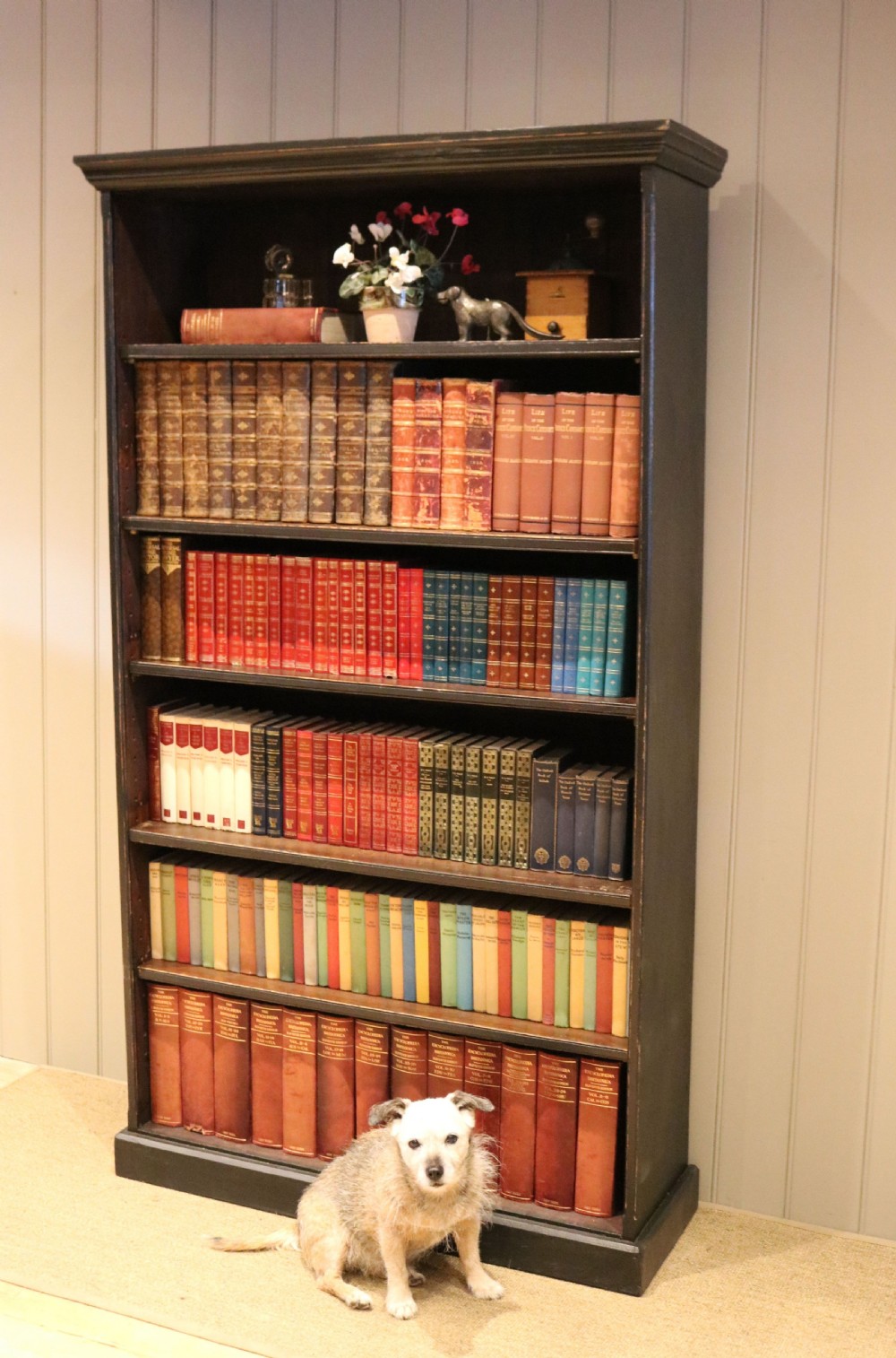 Tall Open Painted Bookcase View V