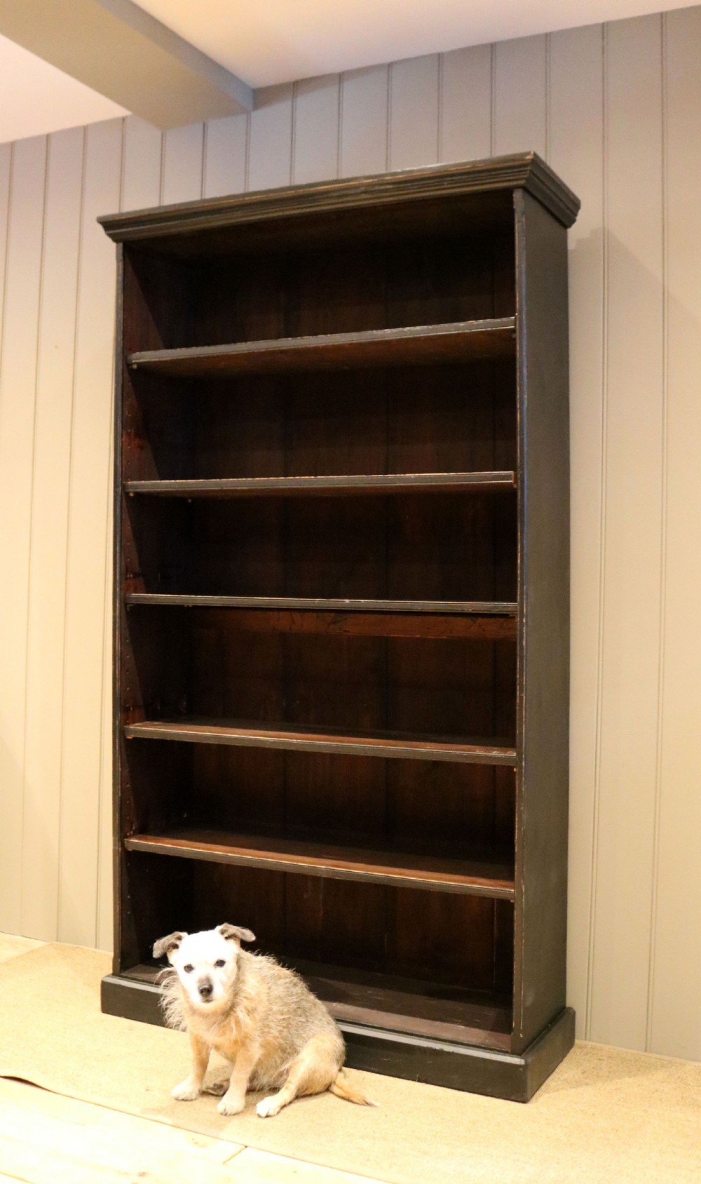 Tall Open Painted Bookcase View VIII