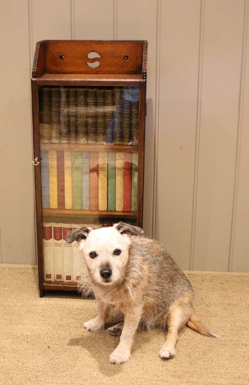 Small Proportioned Oak Glazed Bookcase View VII