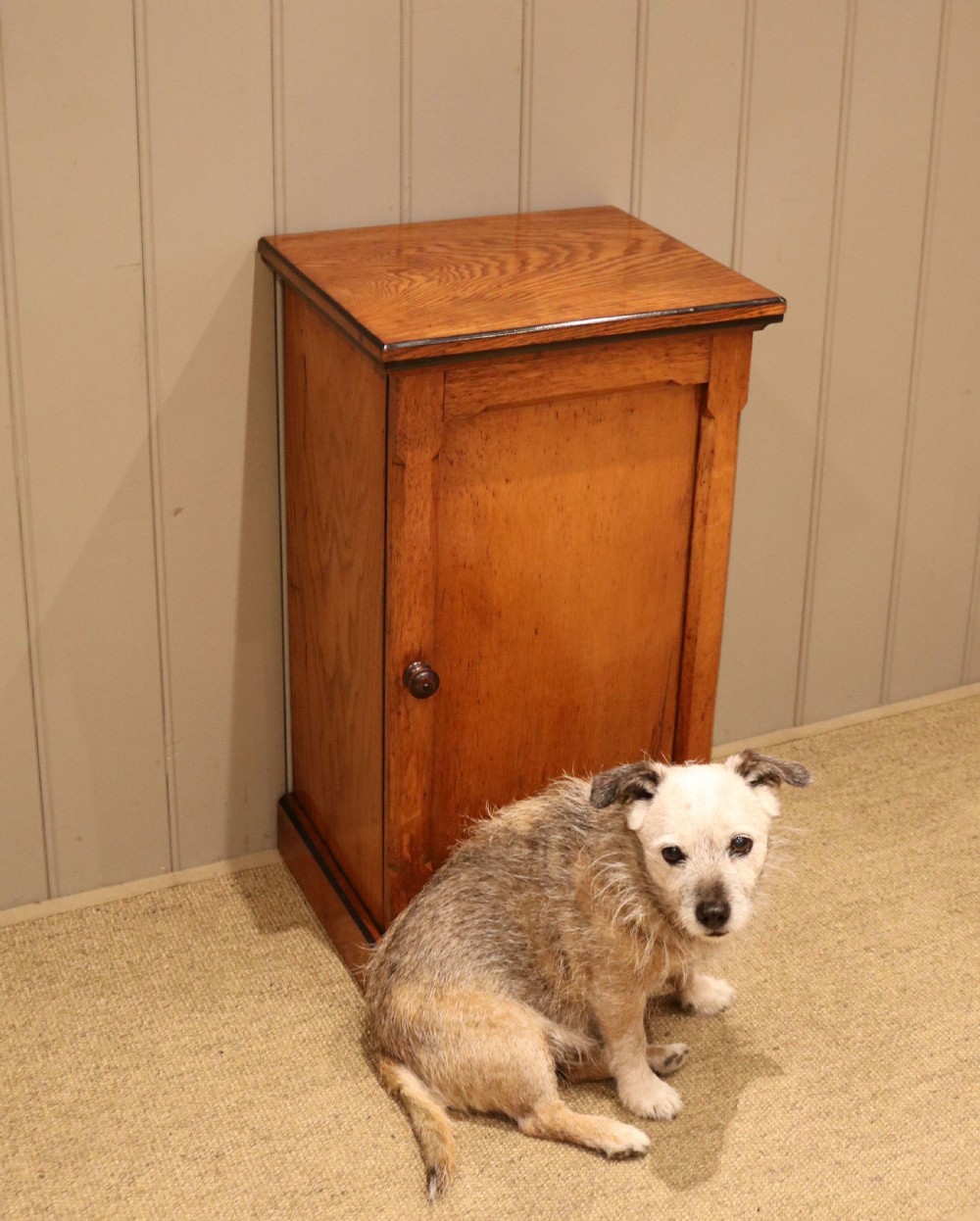 Mid Victorian Golden Oak Bedside Cabinet View VIII