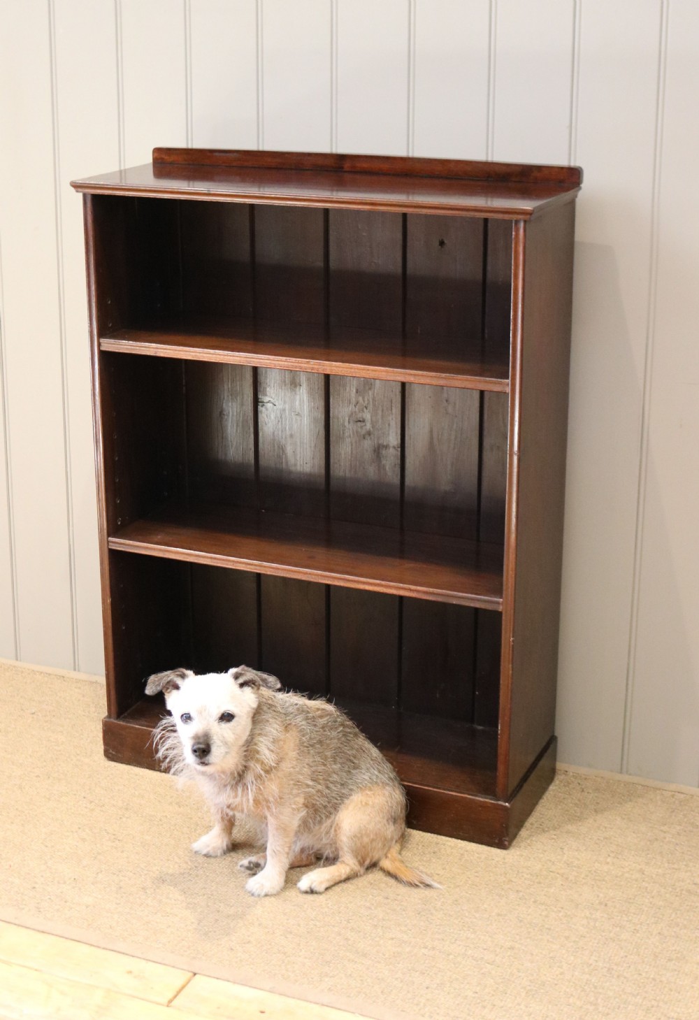 Edwardian Mahogany Open Bookcase View II