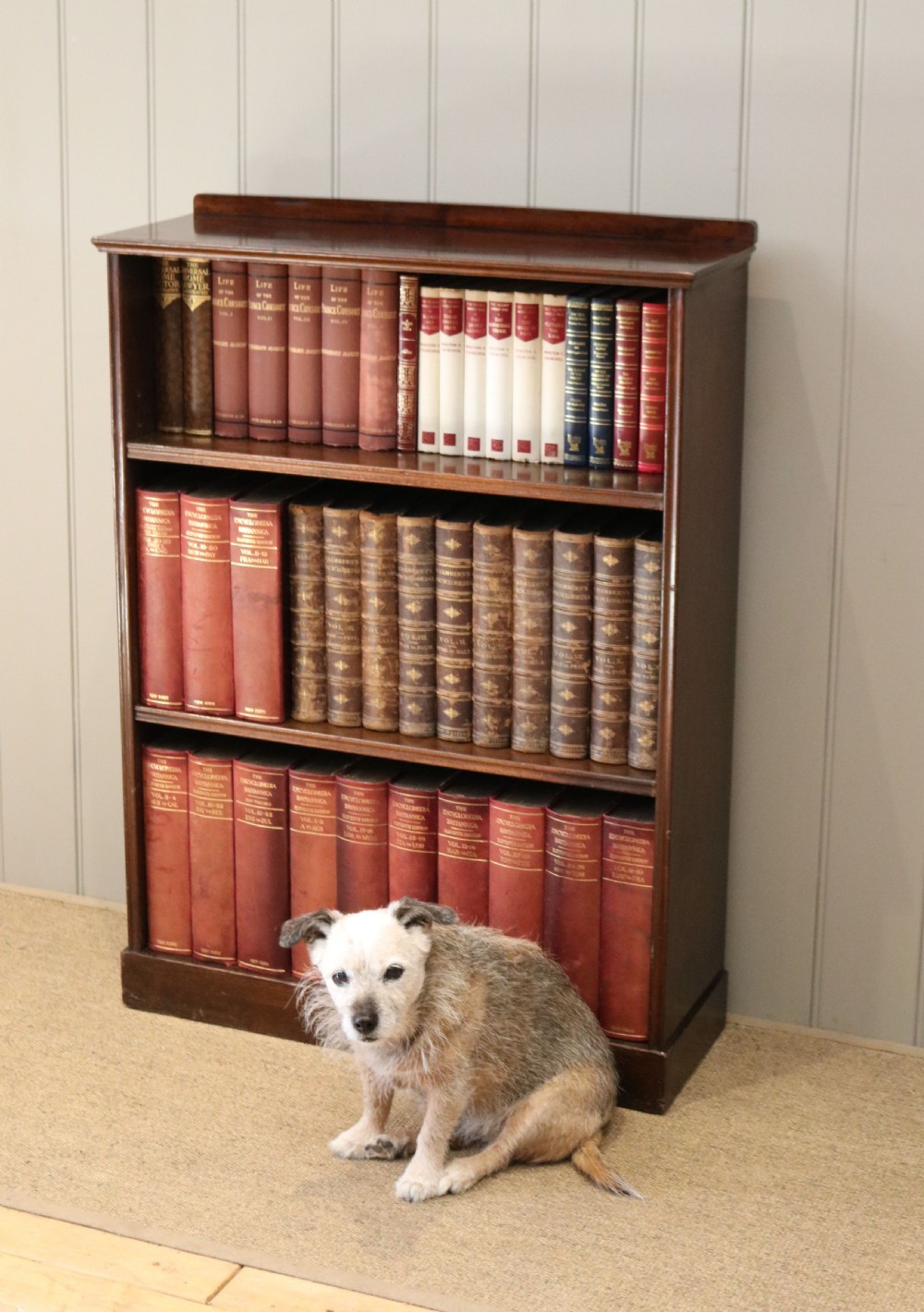 Edwardian Mahogany Open Bookcase View VII