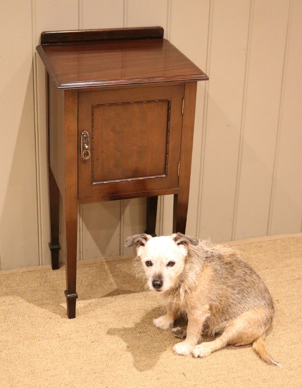 Single Mahogany Pot Cupboard View V