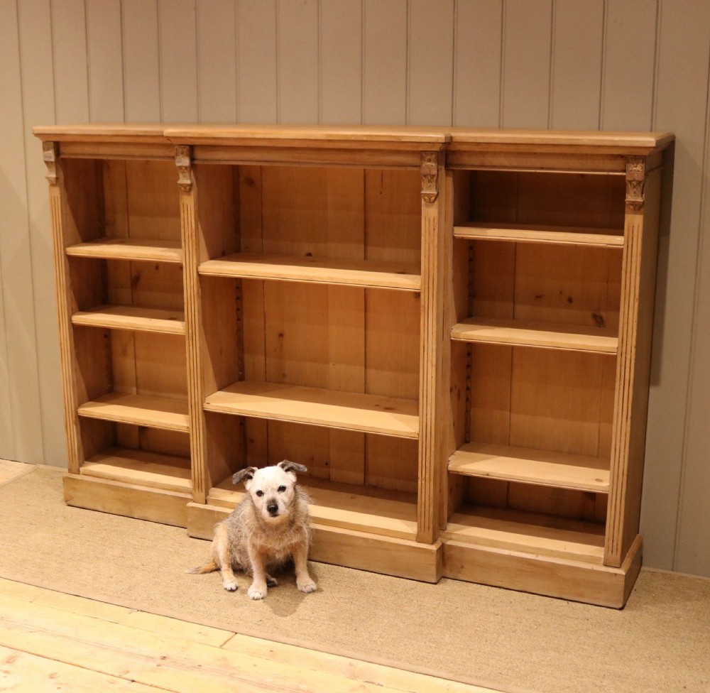 Substantial Mid 19th Century Open Breakfront Pine Bookcase View IX