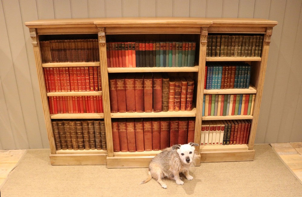 Substantial Mid 19th Century Open Breakfront Pine Bookcase View XII