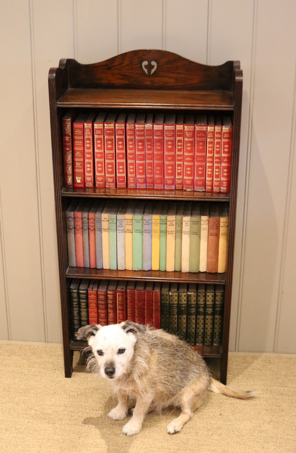 Oak Open Bookcase View IX