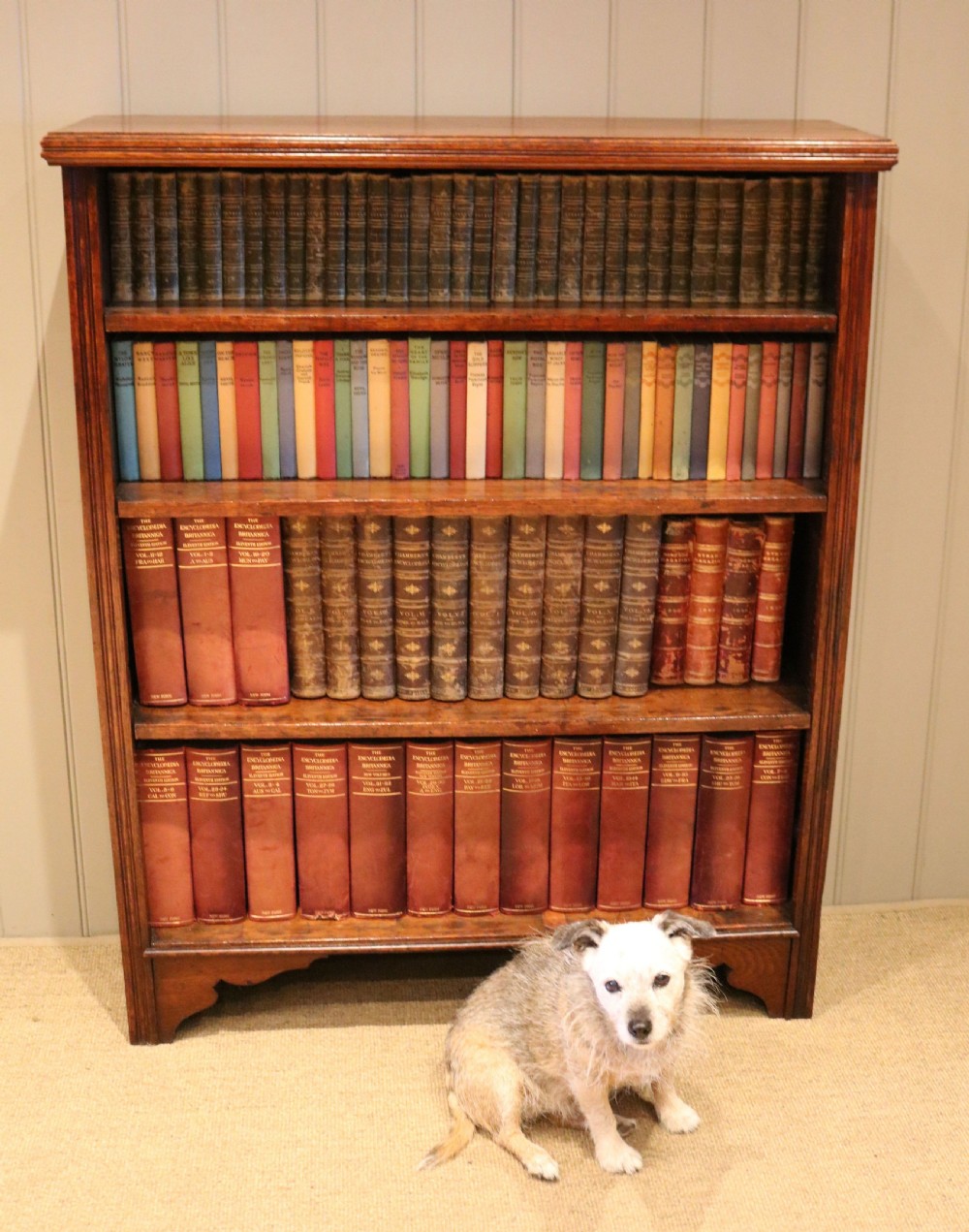 Edwardian Oak & Pine Open Bookcase View V