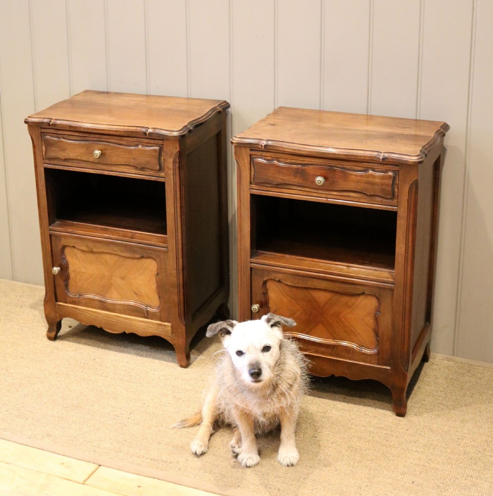 Pair Of French Walnut Bedside Cabinets View IX