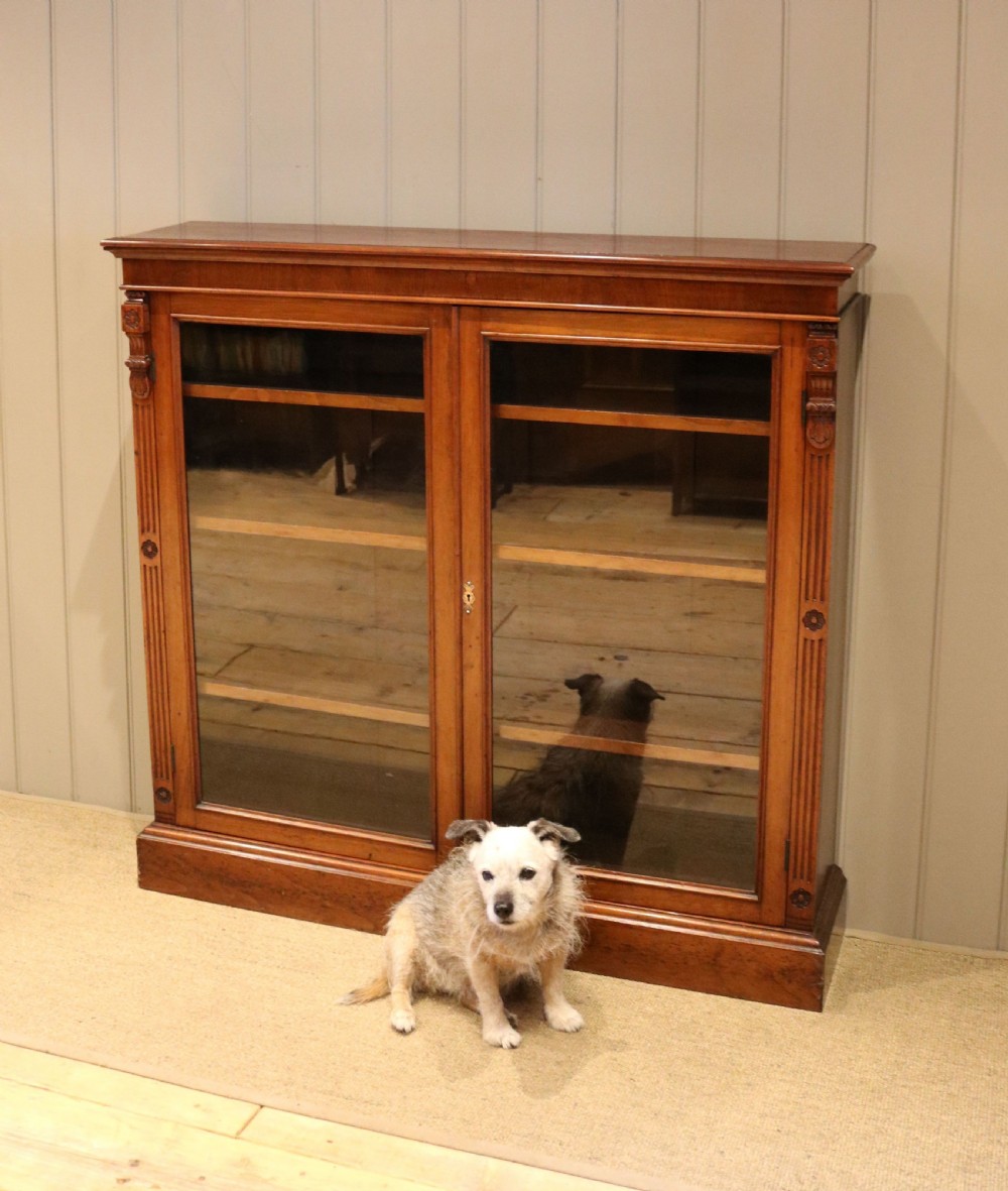 Walnut Glazed Two Door Bookcase View VIII