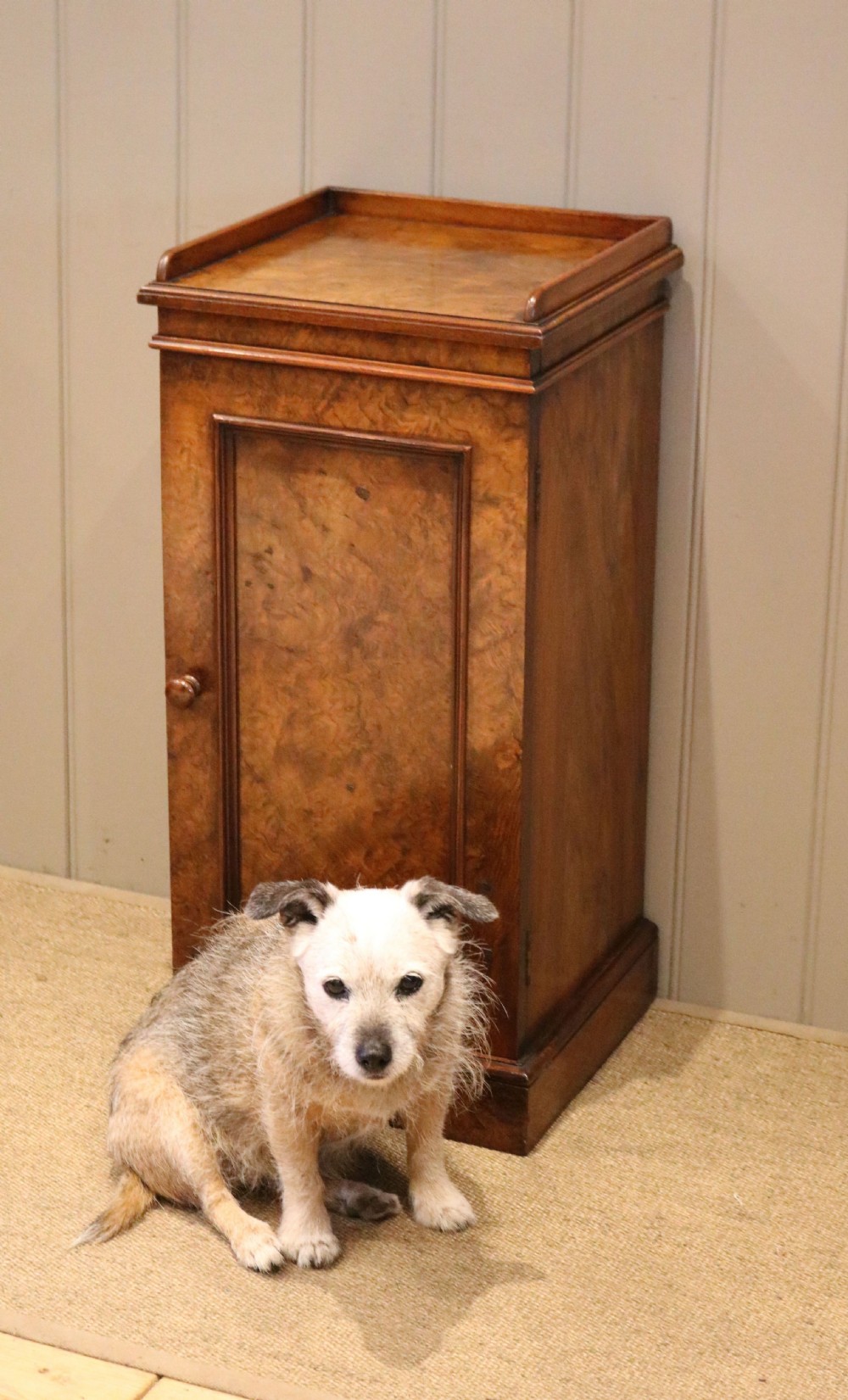 Victorian Burr Walnut Bedside Cabinet View IV