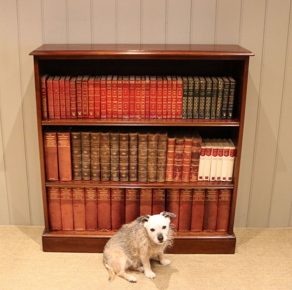 Mahogany Open Bookcase View VII