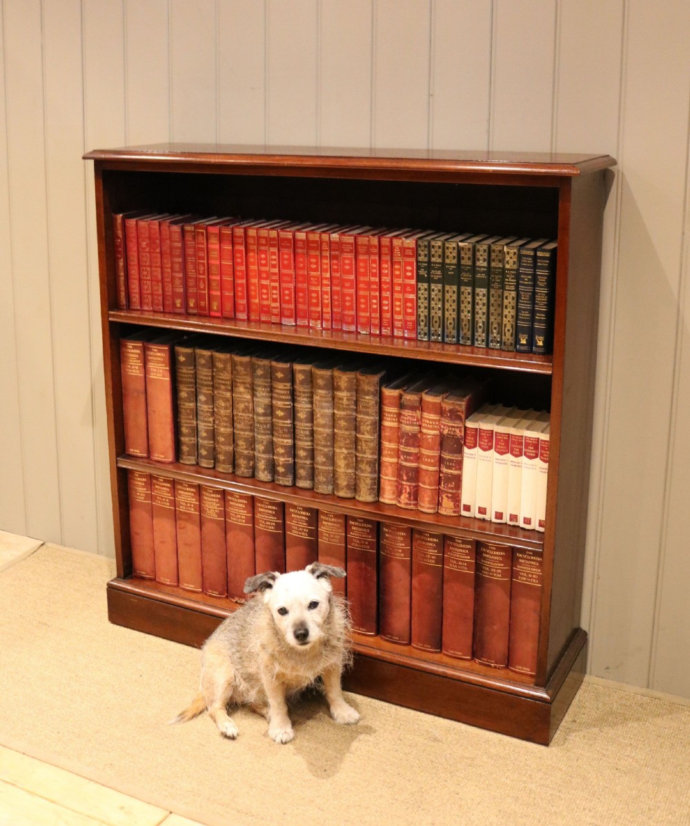 Mahogany Open Bookcase View IX