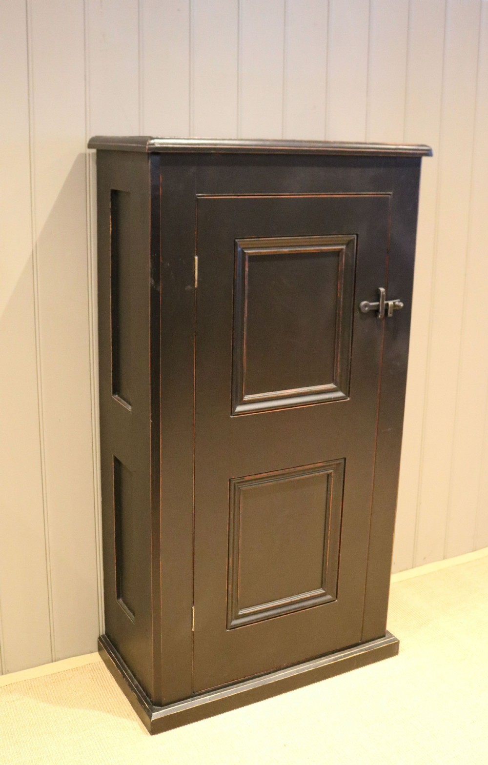 Edwardian Painted Side Cabinet View III
