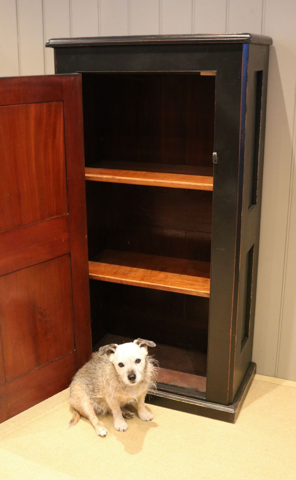 Edwardian Painted Side Cabinet View V