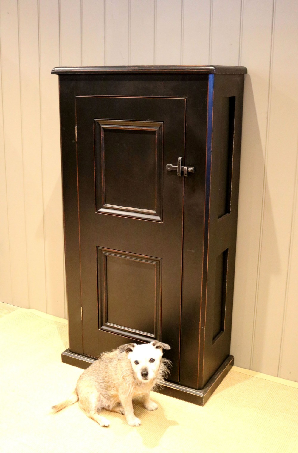 Edwardian Painted Side Cabinet View VIII