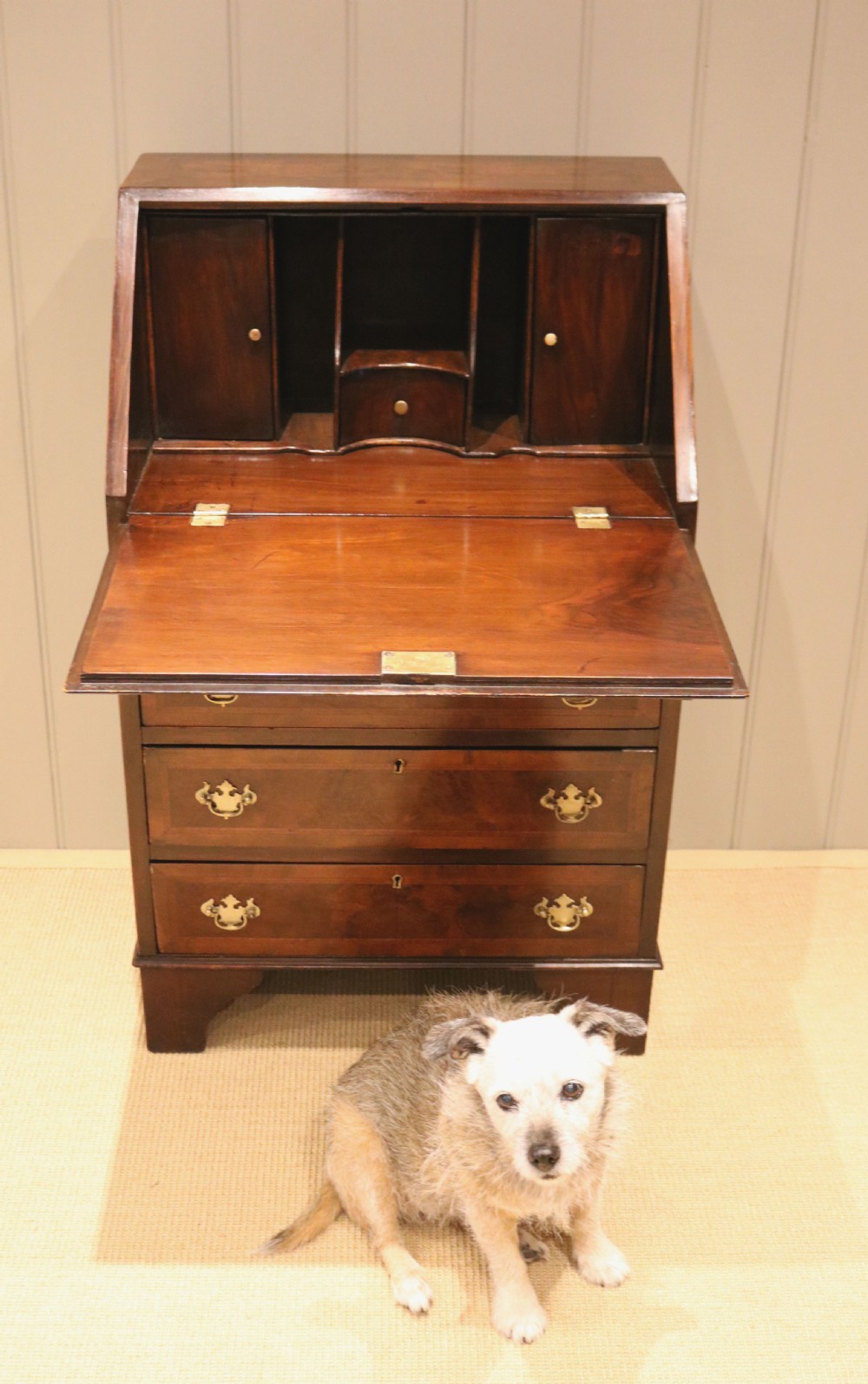 Small Proportioned Walnut Bureau View VII